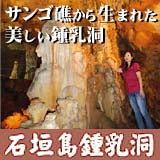 ペンション ニュー浜乃荘 石垣市観光交流協会 ペンション ニュー浜乃荘 石垣市観光交流協会